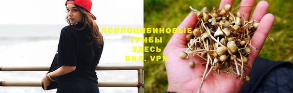 МДМА Домодедово