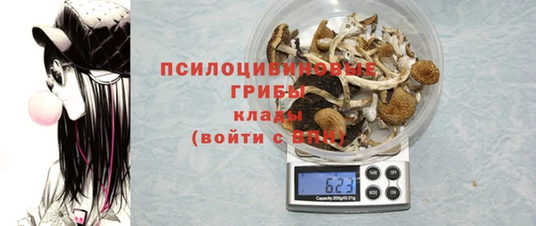 дмт Мегион