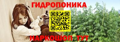крисы Гагарин