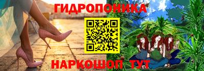 ешки Гатчина