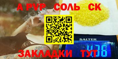 крисы Гагарин