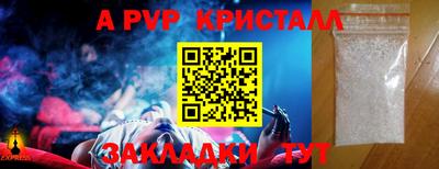 крисы Гагарин