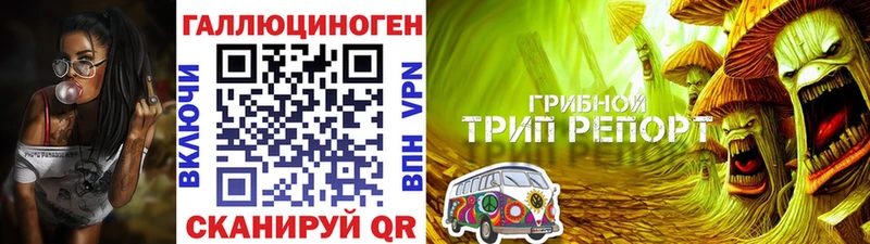 где купить наркоту  Можга  Псилоцибиновые грибы Psilocybine cubensis 