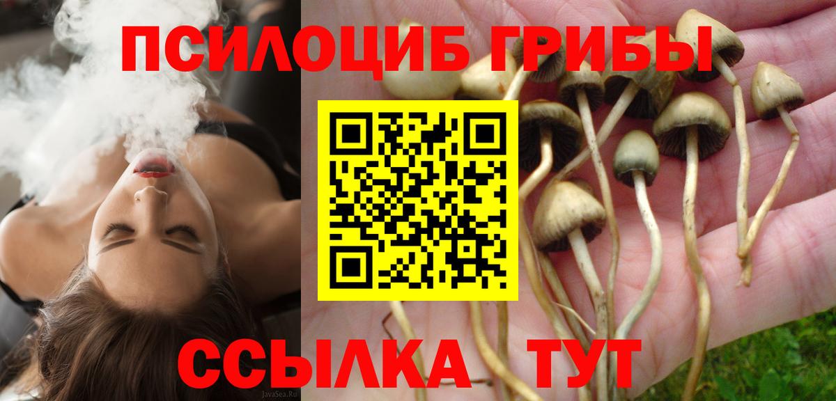Псилоцибиновые грибы мицелий Можга