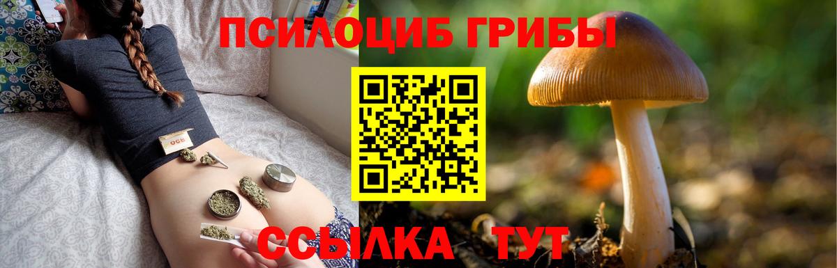 Галлюциногенные грибы MAGIC MUSHROOMS  Вход с VPN  Можга 